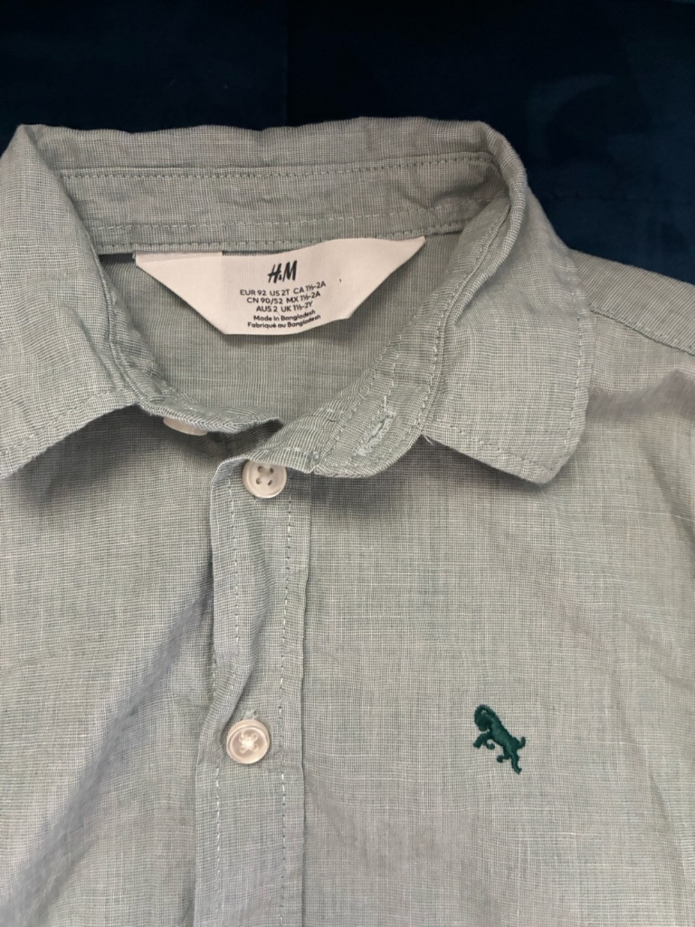 H&M Pale Green Button-Down Shirt 2T